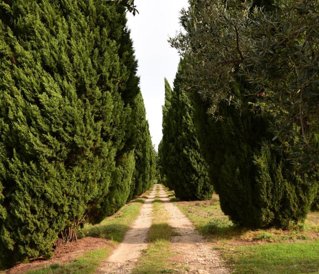 Château Saint-Esprit Draguignan Exterior foto